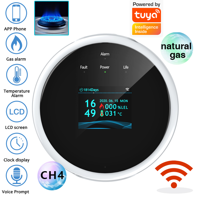 Smart Home Full System - Sensor Alarm Gas WiFi 2.4G Detektor