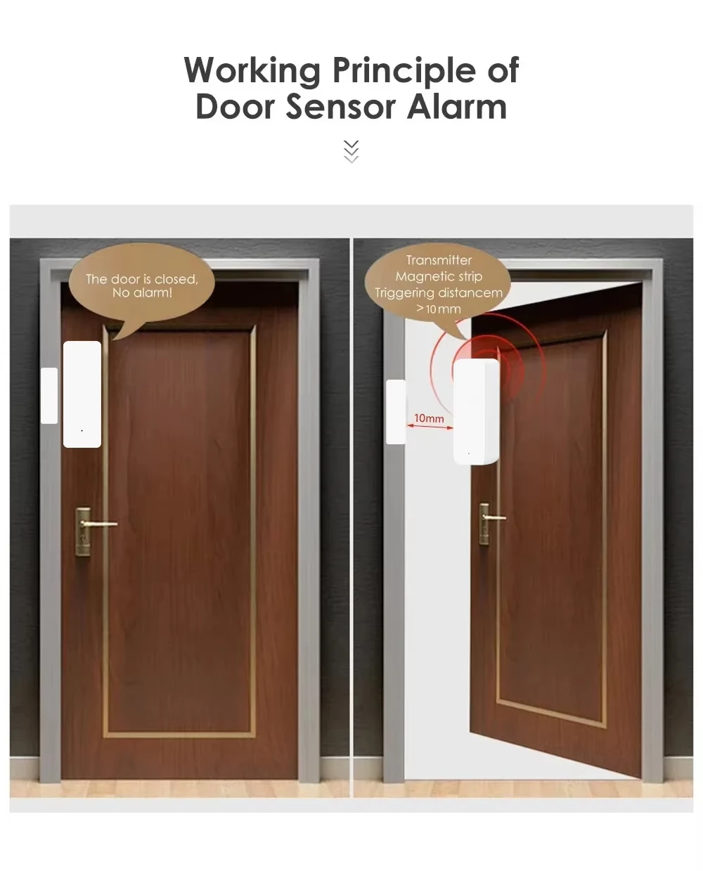 Tuya Zigbee/WiFi Sensor Jendel - Door Window Sensor ulasan dan harga